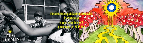 MESCALINE Аркадак