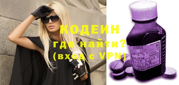дурь Арсеньев