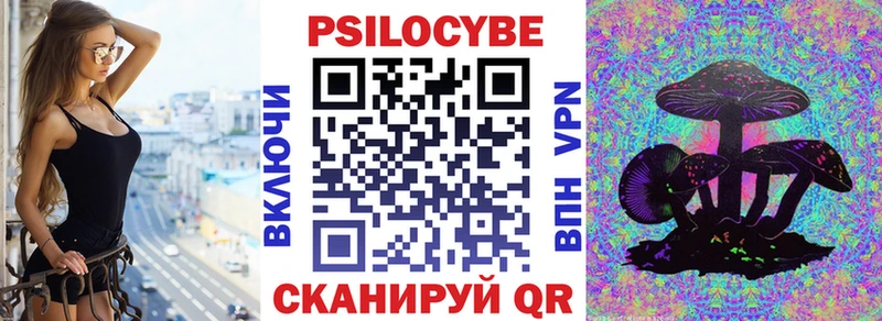 Псилоцибиновые грибы Cubensis  хочу   Пугачёв 